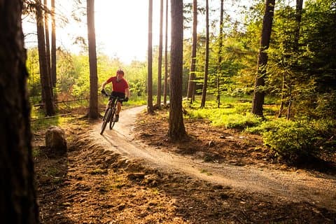 Trilha de MTB de Liubliana