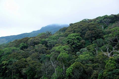 12 Nights Wild Life & Nature Tour