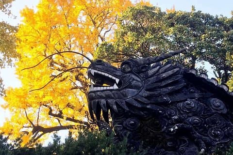 Private Yu Garden, Bund, Concessione francese, tour di mezza giornata di Pudong