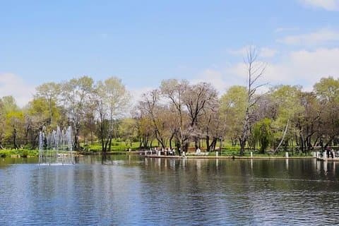 中部アトラス日帰りツアー