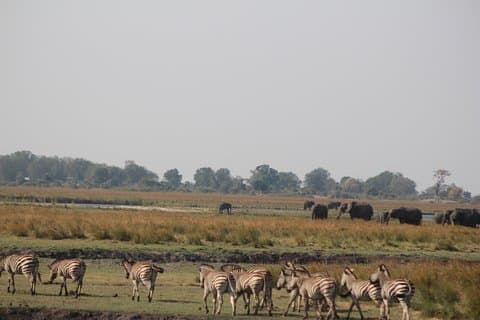 5-DAGARS Victoriafallen och Chobe nationalpark