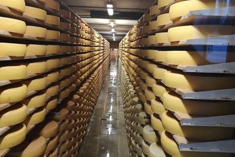 Ostchoklad och vin i regionen Zürich