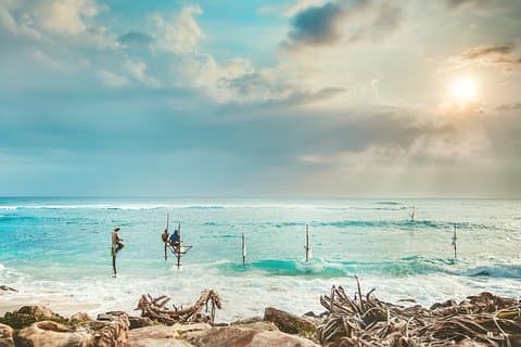 Kun transport - 10 dagers privat tur og retur i Sri Lanka