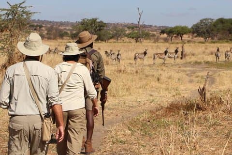 2 Dagen Lodge-safari.