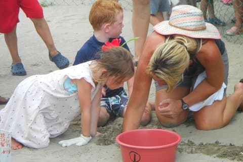 Libération des bébés tortues d'Ixtapa Zihuatanejo