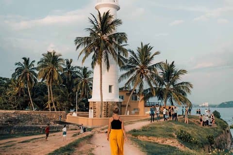 Excursión turística de un día al sur de Sri Lanka desde Colombo y Negombo