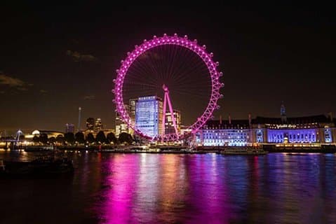 Privado 8 horas. City tour de dia inteiro em Londres