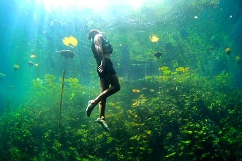 Xenotes Full naturopplevelse! Restauranter i nærheten av Cancun & Riviera Maya