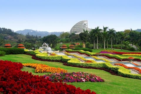 Visite privée d'une demi-journée de la montagne Baiyun à Guangzhou
