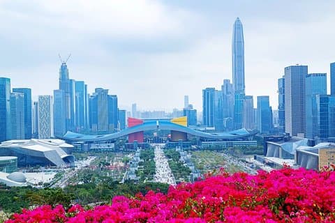 Shenzhen Private Day Tour : Kultur & teknik & Shoppig på ditt sätt