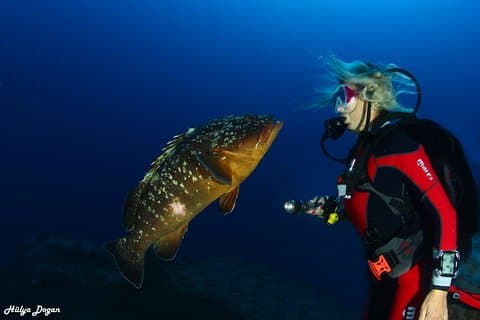 Aprenda a Mergulhar Curso PADI Open Water Diver