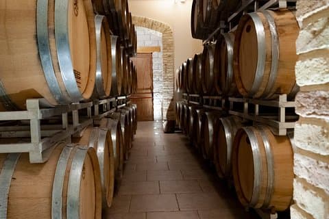 Expérience en direct en ligne: Montepulciano d'Abruzzo.
