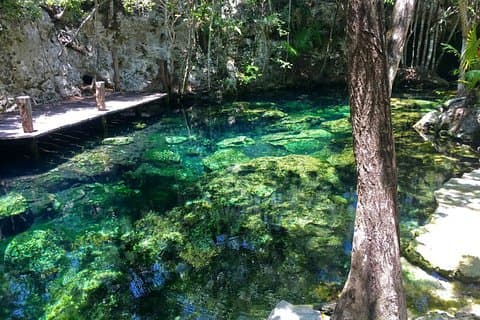 Privat overføring til Cenotes på Riviera Maya