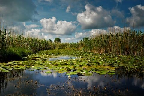 Discover Danube Delta from Bucharest - Private Tour for 5 Days