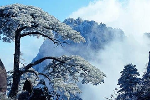 2-daagse Huangshan privétour: Yellow Mountain en Hot Spring Spa-ervaring