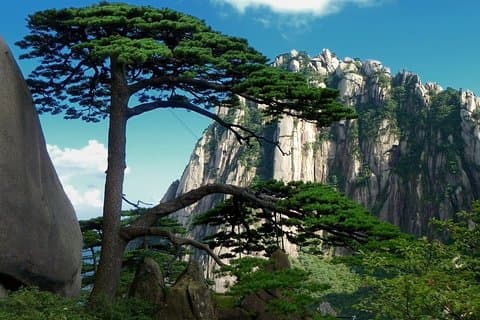Tour giornaliero privato efficiente della montagna Huangshan all-inclusive e del villaggio di Hongcun