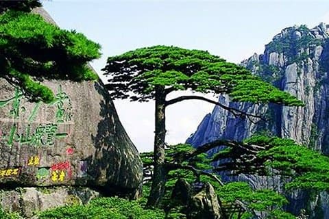 Tour privato di un giorno all-inclusive Huangshan Yellow Mountain e Tunxi Old Street