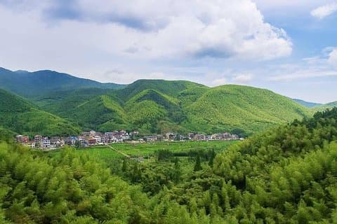 Privat transfer mellan Hangzhou City och Mogan Mountain