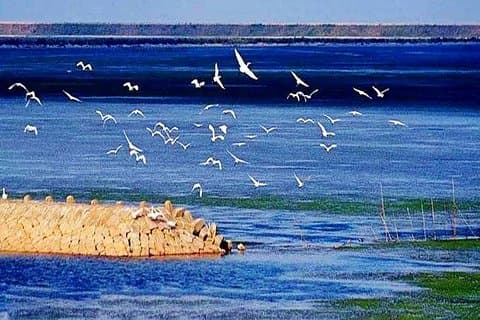 Trasferimento privato tra Chongming Island e la città di Shanghai