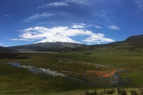 Cotopaxi-vulkaan (PRIVÉ-dagtrip vanuit Quito)