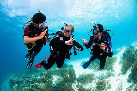 Zwei Riff-Entdeckungstauchgänge mit professionellem Tauchlehrer (keine Erfahrung erforderlich)