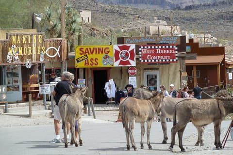 Tagesausflug zu den Arizona Geisterstädten und Wildwest-Gefühl von Las Vegas aus