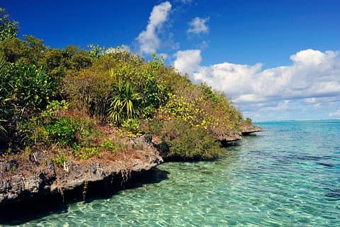 Ile aux Aigrettes - Rota do Chá - Tour Privado Gris Gris (Min. 2 pessoas)