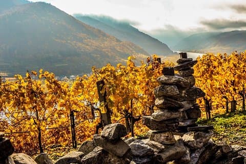 Wachau avec une différence