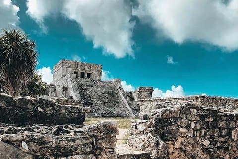 Tulum Coba cenote svømmetur