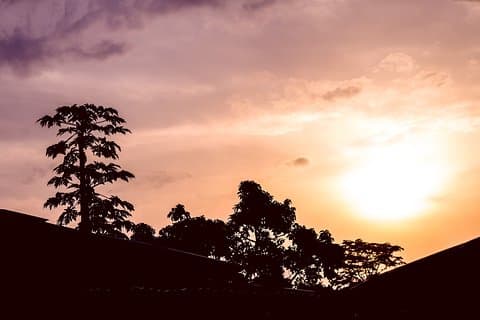 Azobe East Adventure Safari 13D / 12N
