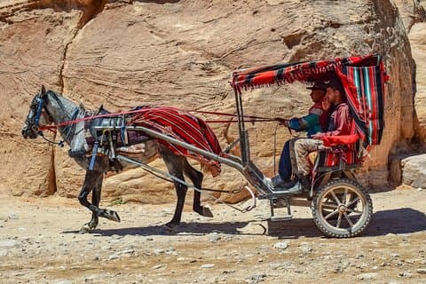 4 giorni / 3 notti Petra, Jerash e Amman Adventure