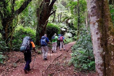 Route voor Mount Kilimanjaro : 7-daagse trektocht - Machame
