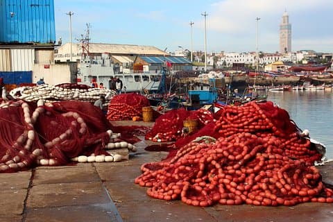 Bedste Casablanca Adventure 8Days-7Nights