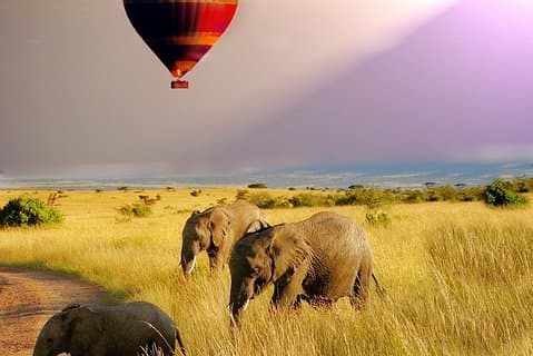 7 dage 6 nætter Det bedste af Kenya Adventure