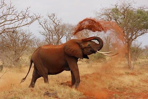 5 Tage 4 Nächte Budgeted Malindi Abenteuer