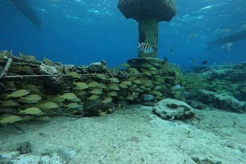 Cozumel Grym Snorkel upplevelse! Transport & äventyr