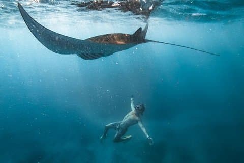 Nusa penida Schnorcheln mit Manta