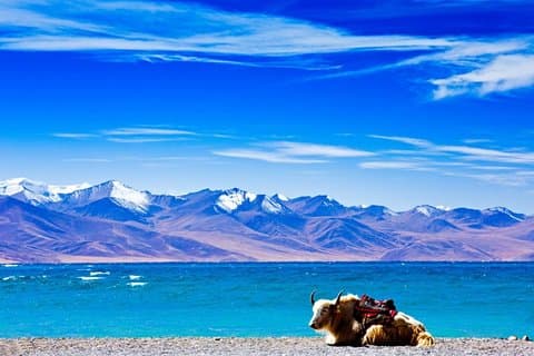 Excursão de 6 dias para grupos pequenos na cidade de Lhasa e no Lago Santo Namtso saindo de Chengdu