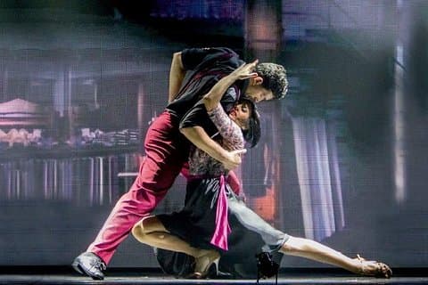 Spectacle de Madero Tango avec transferts privés depuis le port et les hôtels de Buenos Aires