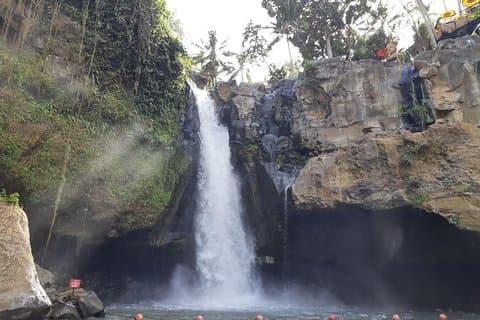 Tour di Bali: il luogo più popolare di Ubud