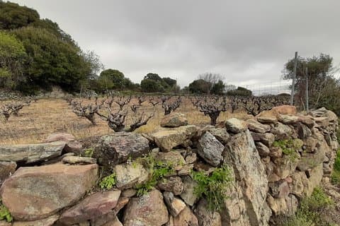 SOUGIA-ARMOS-MAZA hike adventure