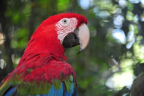 Forfait classique de 3 jours à Foz do Iguaçu