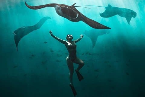 Schnorchelnde Mantarochen-Safari in Nusa Penida