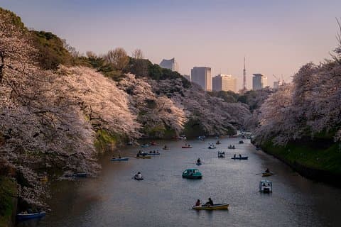 Tokyo Photography Masterclass - Private Photography Lesson