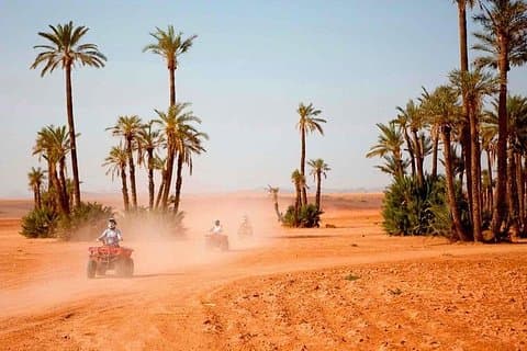 Marrakech: tour de medio día por el desierto y el dromedario