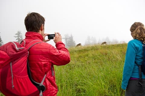 Canmore: Wilderness & Wildlife Tour - 2hr Walk