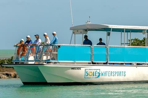 Maratona : COMBO - Snorkel & Sandbar (Coffins Patch Reef)