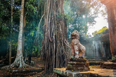 3-dages tur (The Historical of Khmer Empire)