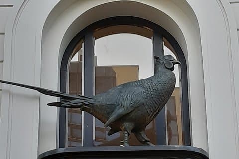 Privat bytur gennem Fasanenstrasse i Berlin
