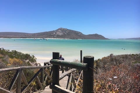 Tour de um dia privado ao longo da costa oeste em torno da Cidade do Cabo